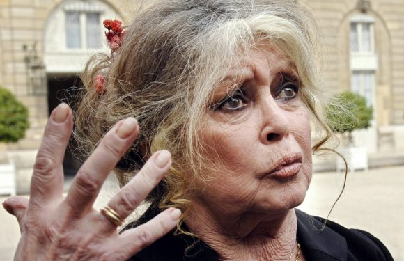 Défense des animaux: Brigitte Bardot demande à Emmanuel Macron un «miracle» de Noël