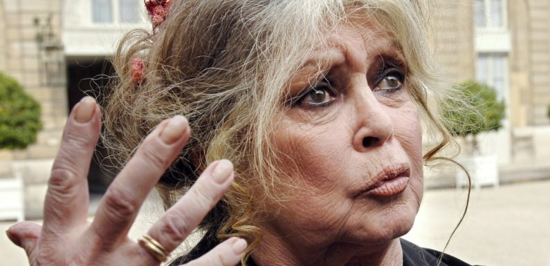 Défense des animaux: Brigitte Bardot demande à Emmanuel Macron un «miracle» de Noël