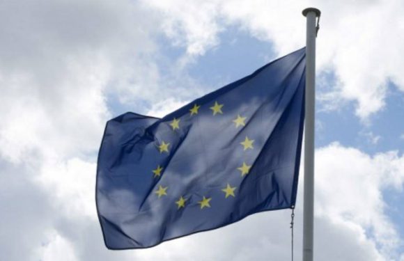Européennes: Le RN largement en tête des intentions de vote devant LREM