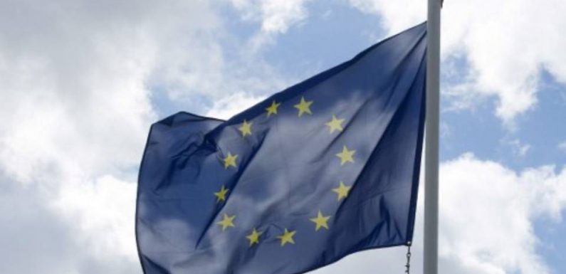 Européennes: Le RN largement en tête des intentions de vote devant LREM