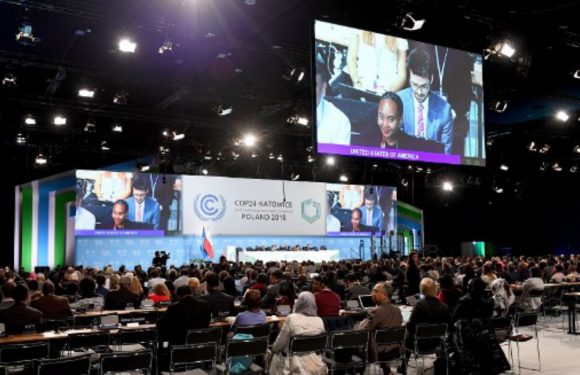 COP24: Que pense-t-on à Katowice de la révolte «gilets jaunes»?