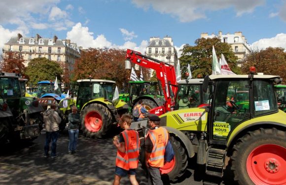 Excédés par l’«agribashing», les agriculteurs sortent les tracteurs (IMAGES)
