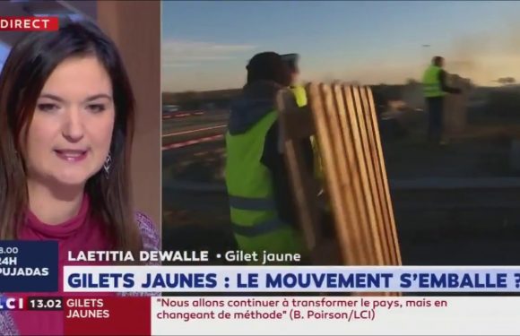 Laetitia Dewalle (Gilet Jaune) : «Nous continuons nos mobilisations. Les Gilets Jaunes qui appellent à une trêve ne représentent qu’une infime partie.»