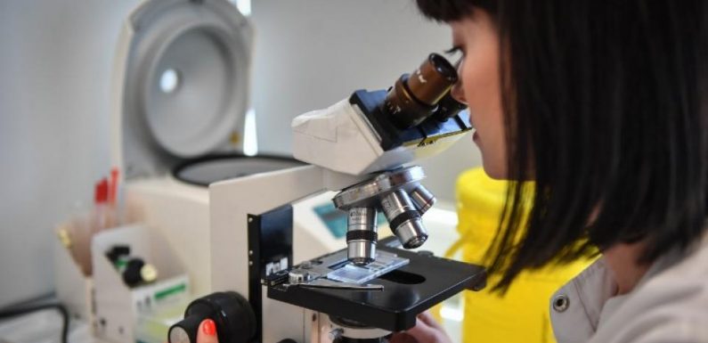 Santé : l’argent investi dans la recherche atteint un record à l’échelle mondiale