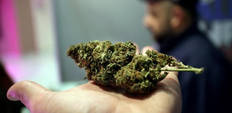 Le cannabis médical, nouvelle manne pour Israël