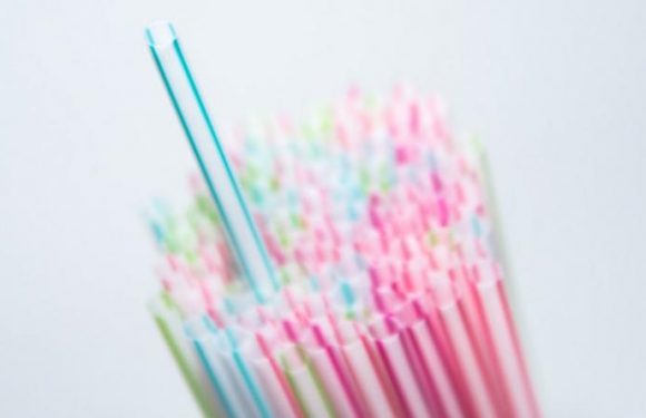 Ustensiles en plastique : la macronie prête à reculer d&rsquo;un an l&rsquo;interdiction