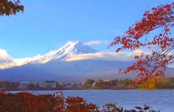 Invitation au voyage Le Japon de Hokusai / Chicago / Normandie