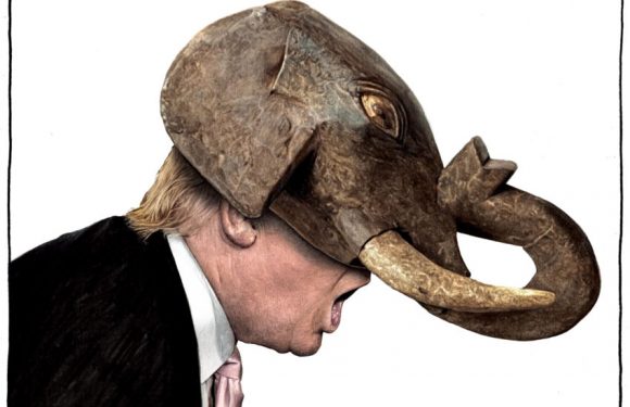 Le culte de Trump. Par Chris Hedges