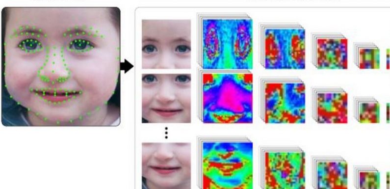 L’intelligence artificielle détecte des maladies rares grâce à une photo