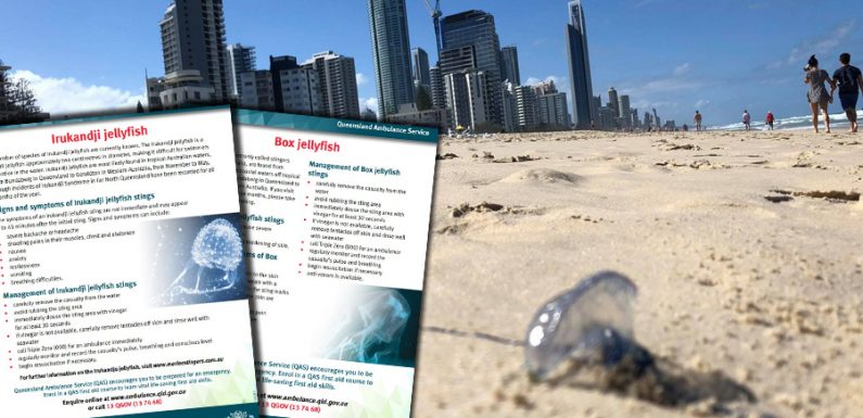 Une double invasion en Australie fait craindre « l’apocalypse des méduses »