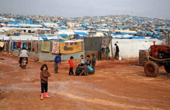 La Belgique contrainte par la justice à rapatrier deux enfants de djihadistes, nés en Syrie