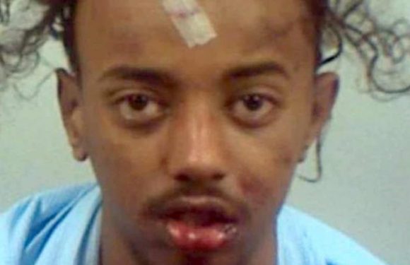 Gravesend (Angleterre) : L’homme qui avait tenté d’écraser des gens lors d’un concert, condamné à 28 ans de prison (Vidéo de l’attaque)