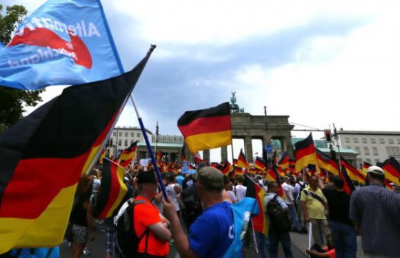 Allemagne : l’AfD menacée d’être placée sous surveillance