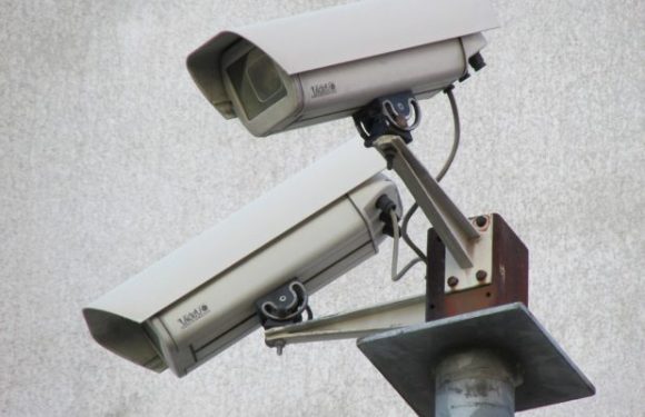 Allemagne : L’Office fédéral de la protection de la Constitution surveille l’AfD avec l’aide des antifas.