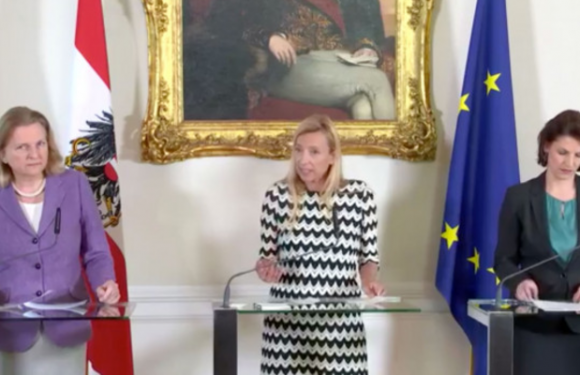 Autriche : « Nous n’aurions pas cette violence contre les femmes sans la crise migratoire de 2015 », déclare la Ministre de l’Intégration