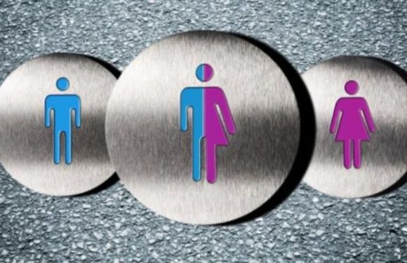 Hannovre (All.) : La mairie de gauche veut proscrire les termes « Monsieur » et « Madame » et modifier toute la documentation de la ville.