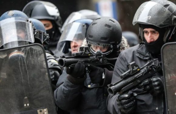 Paris : la justice refuse de suspendre l’usage des LDB dans les prochaines manifestations de « gilets jaunes »