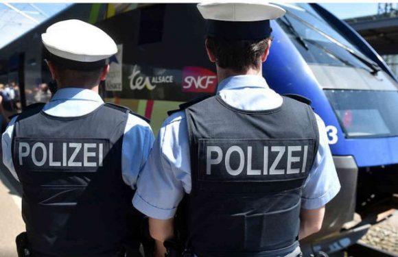 Plus de 14 000 migrants illégaux interceptés dans des cars ou des trains aux frontières allemandes en 2018