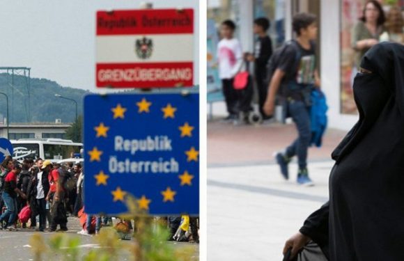 Autriche : « La scène islamiste se radicalise, des sociétés parallèles se constituent, nombre d’Autrichiens s’arment pour le jour J » confie un avocat