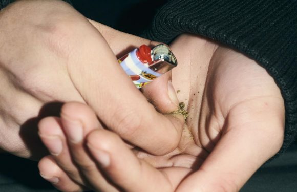«Tout le monde fume des joints maintenant, c’est devenu banal»