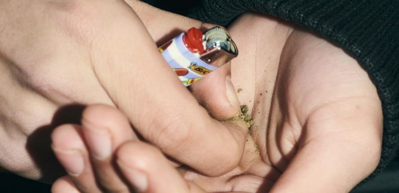 «Tout le monde fume des joints maintenant, c’est devenu banal»