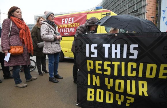 «Les perturbateurs endocriniens sont un enjeu européen»