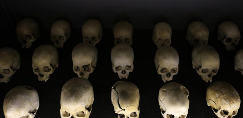 «La recherche révèle la dissimulation qu’impliquent les génocides»