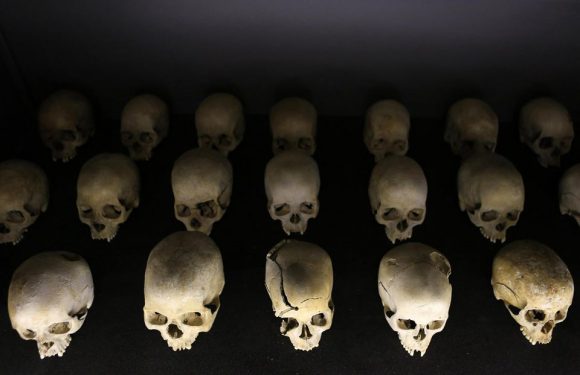 «La recherche révèle la dissimulation qu&rsquo;impliquent les génocides»