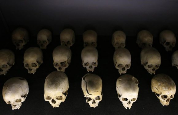 Vincent Duclert «La recherche permet de fermer la porte au négationnisme en révélant l’entreprise de dissimulation du génocide»