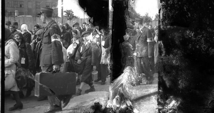 Un photographe juif enterre 6000 négatifs pour les cacher des Nazis: les voici développés