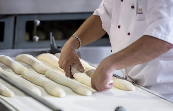 Concurrencées par de grandes enseignes, 1 200 boulangeries disparaissent chaque année