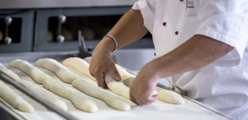 Concurrencées par de grandes enseignes, 1 200 boulangeries disparaissent chaque année