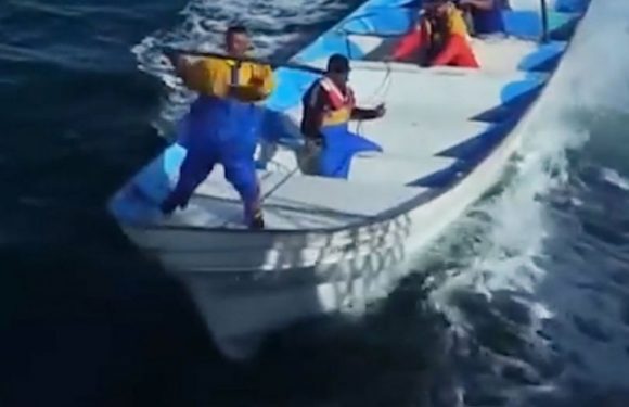 Des braconniers attaquent violemment le bateau de l&rsquo;ONG Sea Shepherd