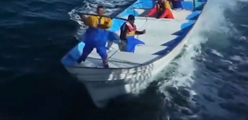 Des braconniers attaquent violemment le bateau de l’ONG Sea Shepherd