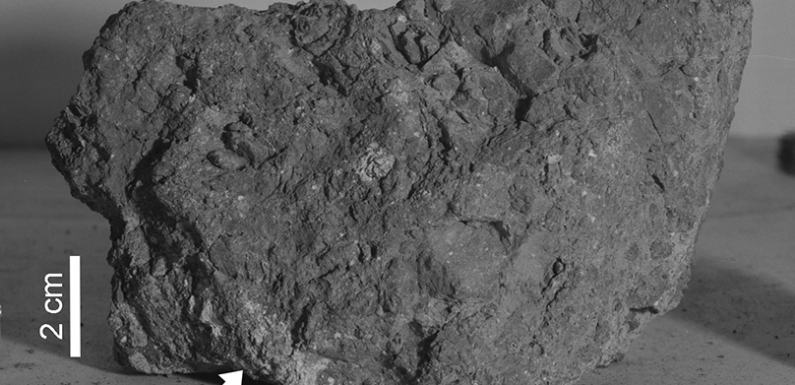 On a trouvé sur la Lune le plus vieux morceau de roche de la Terre