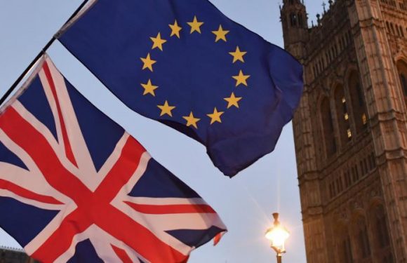 Embouteillages à la frontière, inflation, pénuries… Ce qui attend le Royaume-Uni en cas de Brexit sans accord