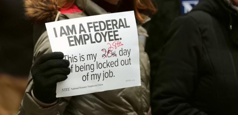 « Je promène des chiens » : aux Etats-Unis, les fonctionnaires sans salaire se préparent à un deuxième mois de « shutdown »