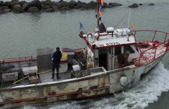 Pêche : une association dépose un recours contre l’État pour savoir « qui a récupéré les subventions » européennes en France