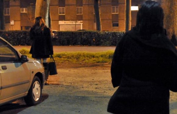 Loi prostitution devant le Conseil constitutionnel : « Imposer un acte sexuel par l’argent est une forme de violence sexuelle »
