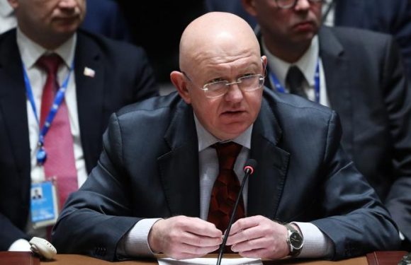 La Russie lance une pique à la France et propose de parler des « gilets jaunes » au Conseil de sécurité de l&rsquo;ONU