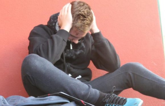 Homophobie à l&rsquo;école : « Si un garçon dit qu&rsquo;il est gay, il va être harcelé moralement »