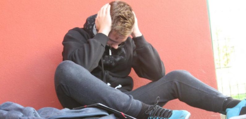 Homophobie à l’école : « Si un garçon dit qu’il est gay, il va être harcelé moralement »