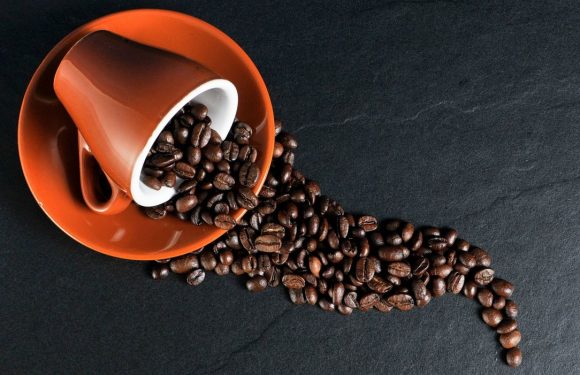 60% du café sauvage est menacé d&rsquo;extinction en raison des changements climatiques