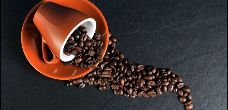 60% du café sauvage est menacé d’extinction en raison des changements climatiques