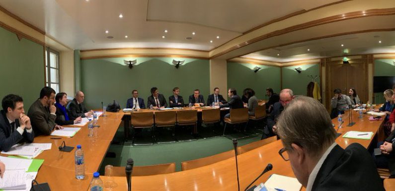 Assemblée Nationale : création d’une « commission d’enquête sur la lutte contre les groupuscules d’extrême droite en France » (MàJ : dirigée par une député d’extrême-gauche)