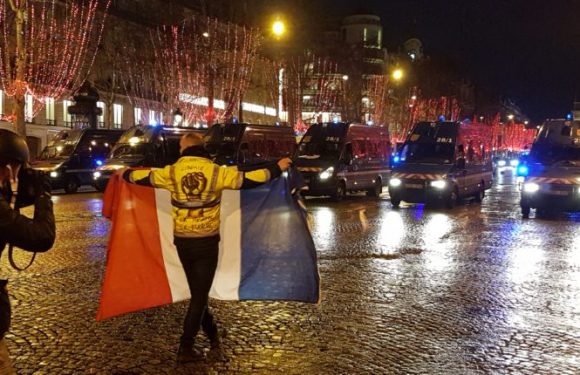 “You are gilets jaunes!”