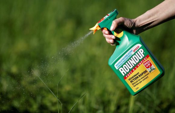 Glyphosate: la justice française interdit le Roundup Pro 360 de Monsanto