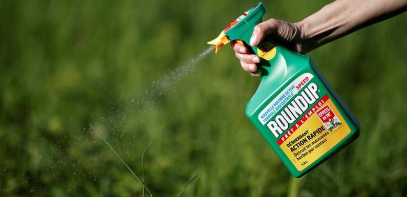 Glyphosate: la justice française interdit le Roundup Pro 360 de Monsanto