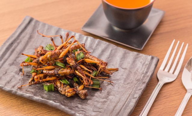 Bientôt un restaurant d’insectes dans les sous-sols de Paris !
