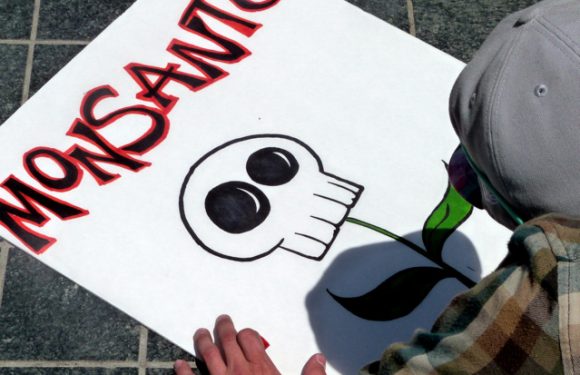 Glyphosate : les méthodes de Monsanto pour avoir toujours raison